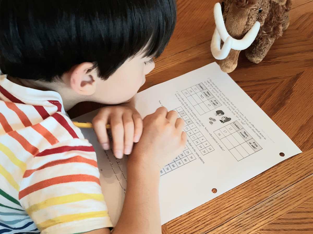 Homeschool Choices 2020-2021